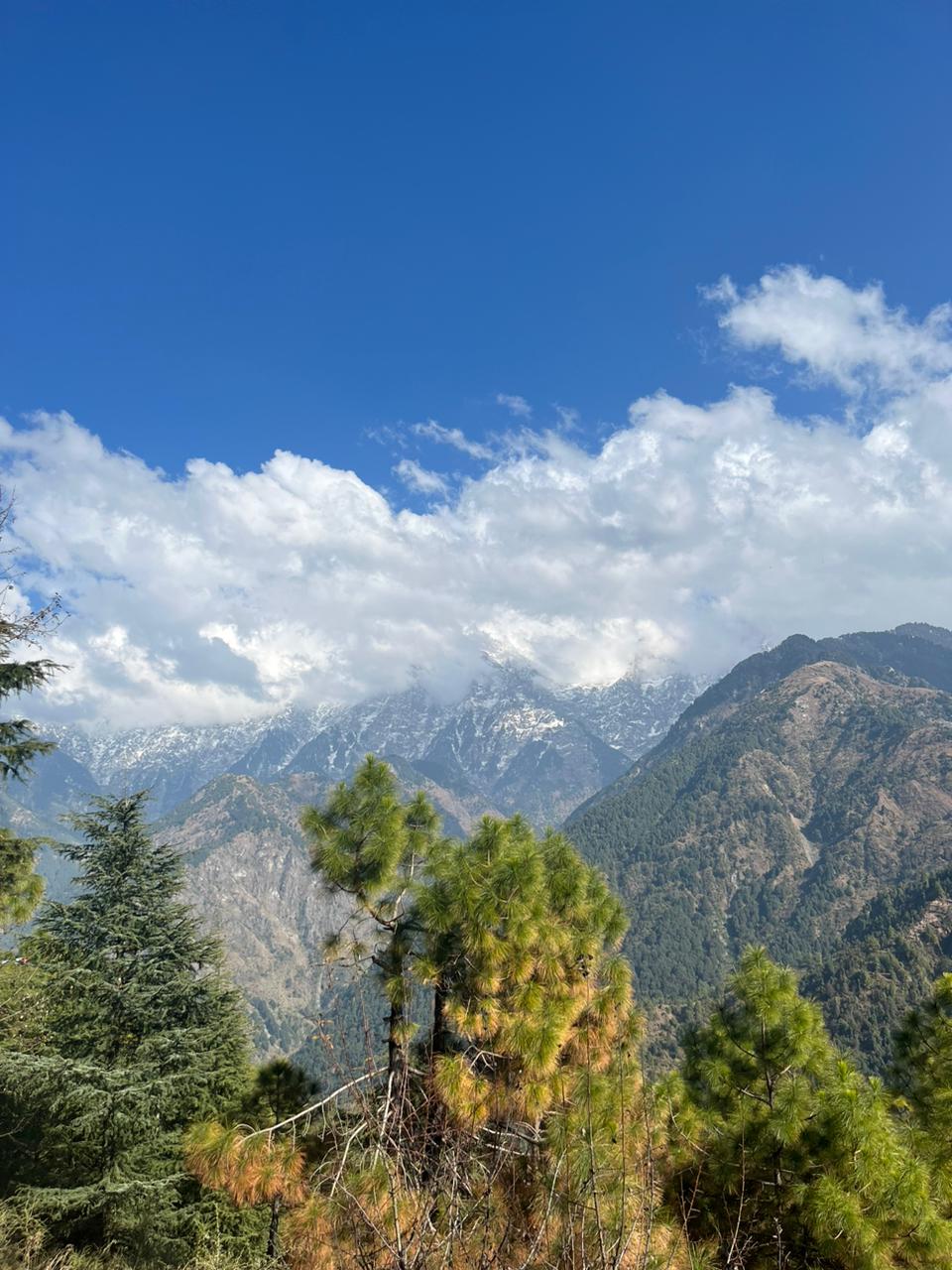 Beyond basics: Coolest 7 ways to immerse yourself in Dharamshala