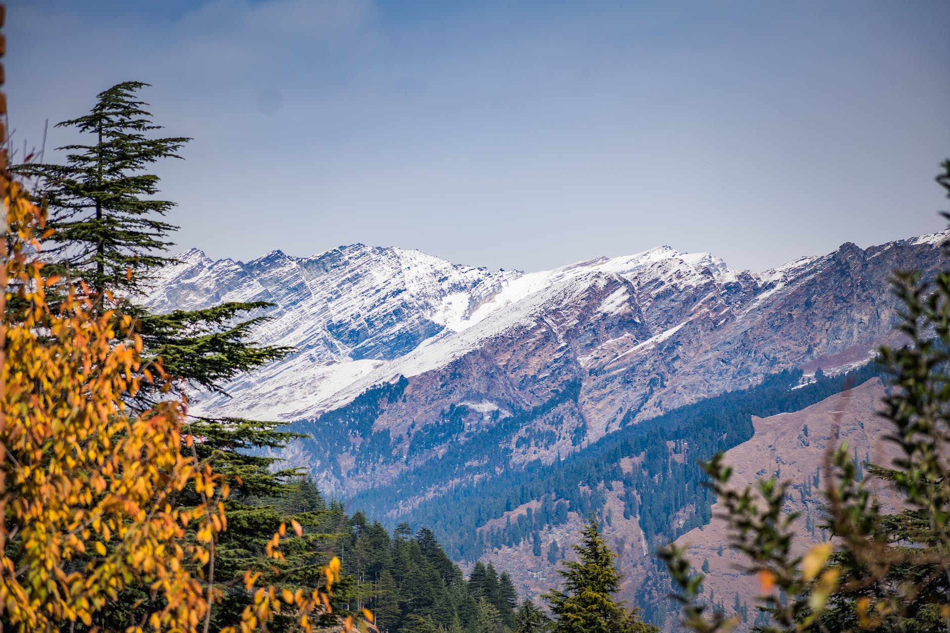 Coolest 7 reasons to explore Uttarakhand’s hidden gem – Munsiyari