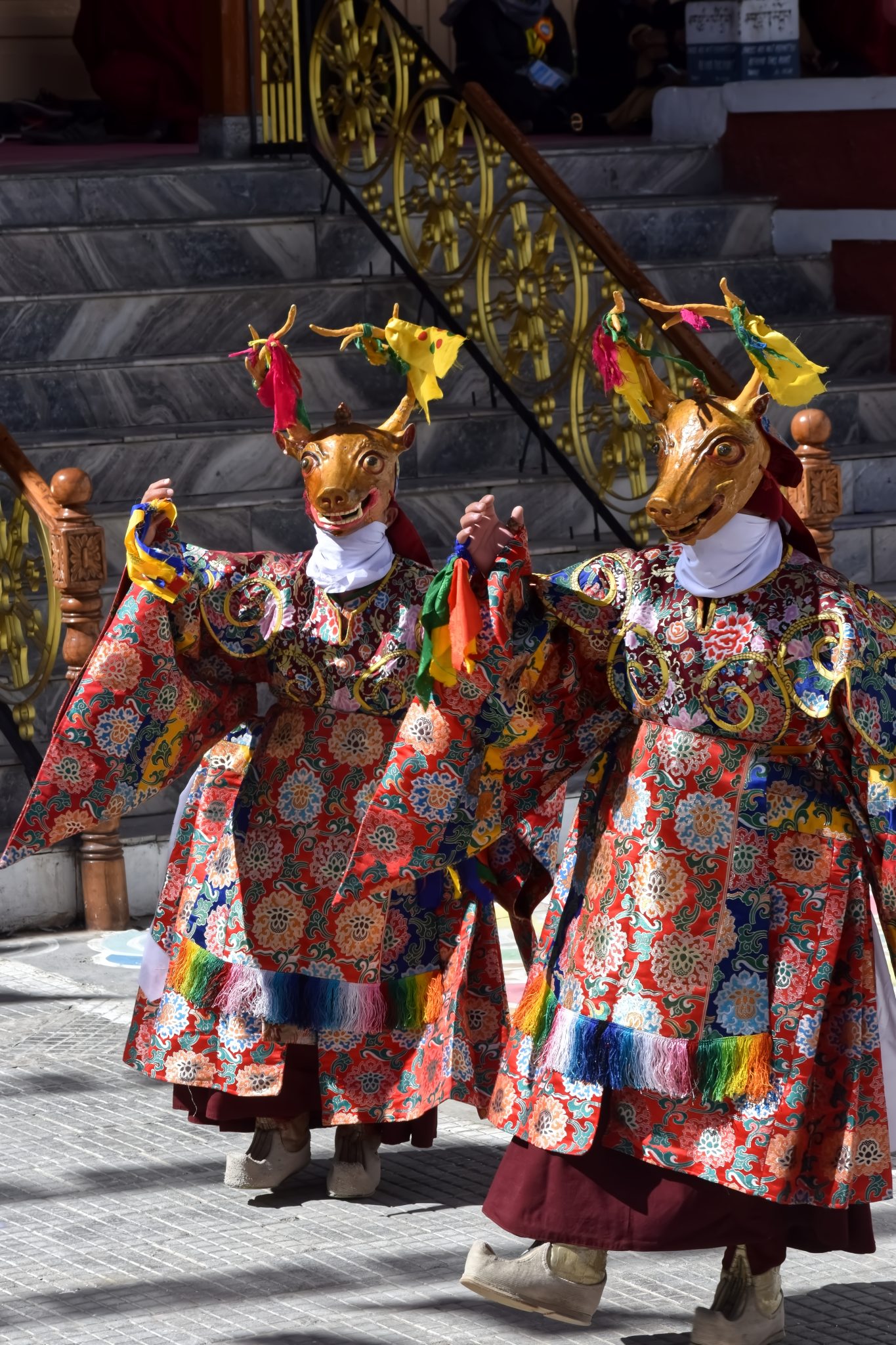 Coolest 7 reasons to experience the Nomadic Festival in Hanle, Ladakh