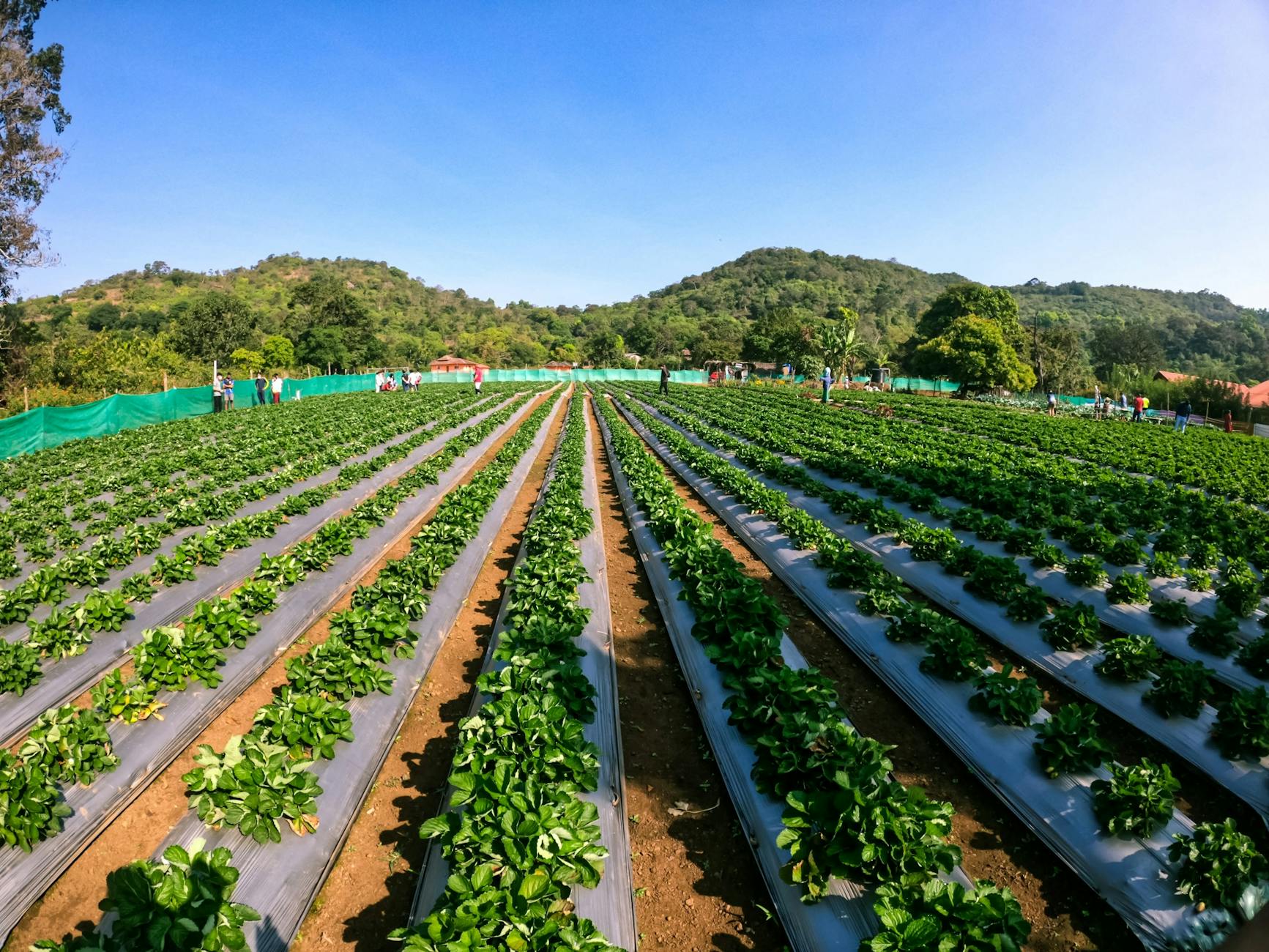 On the spice trail: Coolest 7 reasons to indulge in Kerala’s culinary delights