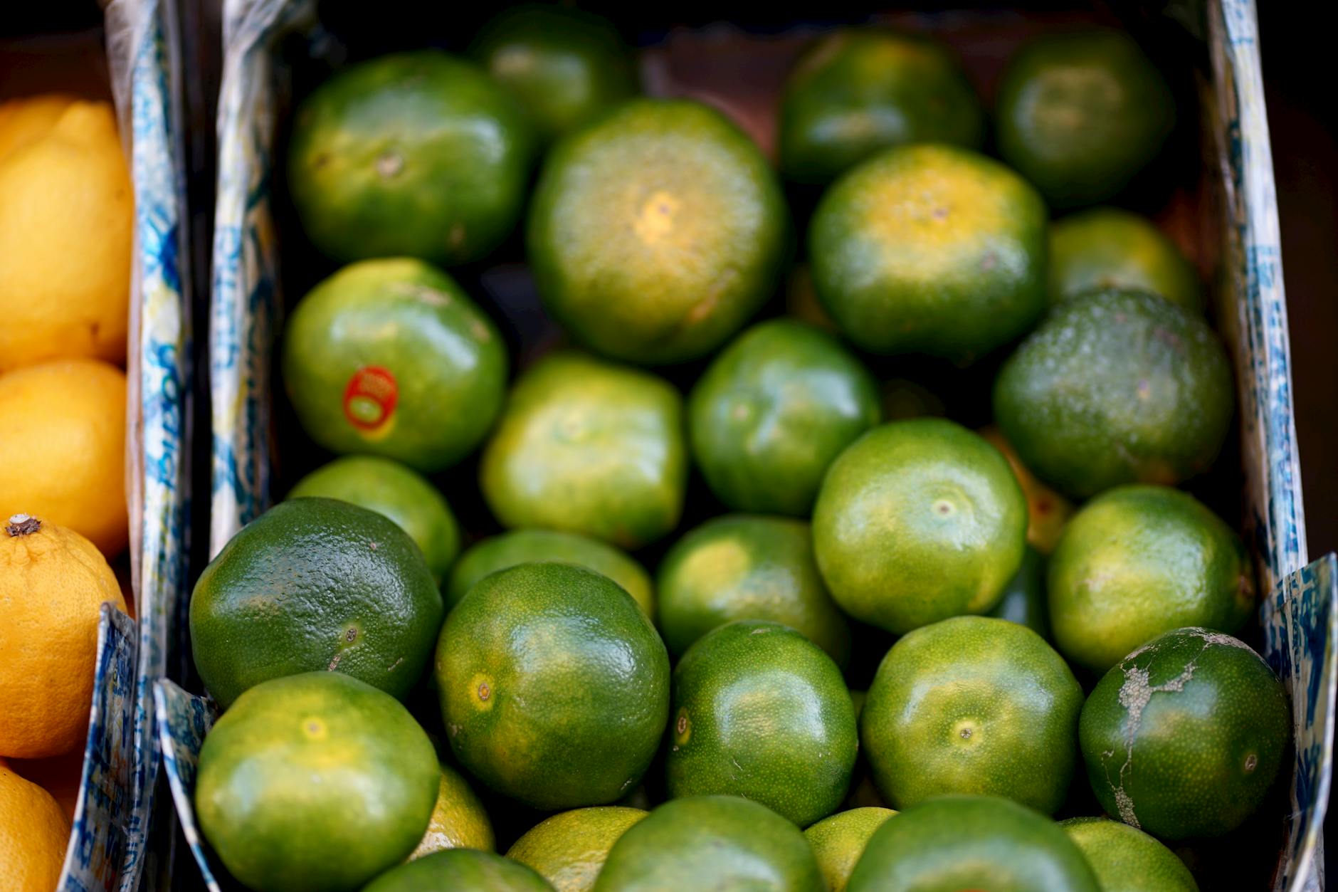 fresh nagpur oranges